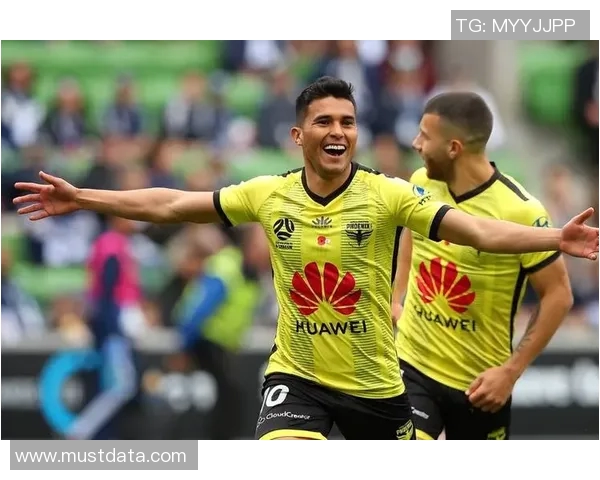 惠灵顿对阵中央海岸精彩比赛直播全程回顾与分析