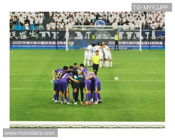 泰达与大连人精彩对决视频回顾赛场瞬间与精彩进球分析