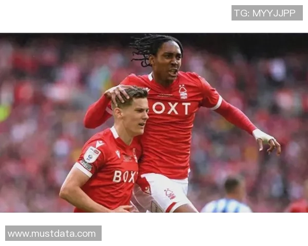 切诺丁汉与斯旺西的激烈对决谁能在赛场上笑到最后