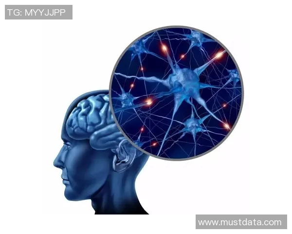 拉波尔特的崛起与挑战：探讨其在现代科技领域的影响与未来发展方向